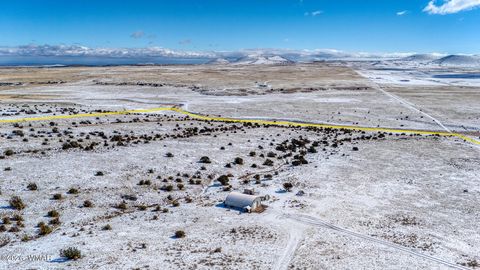 Tiny photo for 3 County Road N3365, Vernon, AZ 85940 (MLS # 259641)