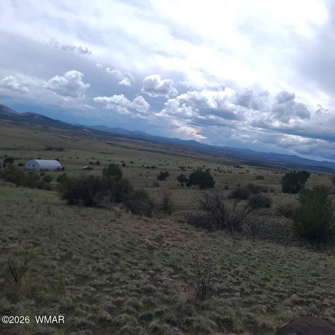 Tiny photo for 3 County Road N3365, Vernon, AZ 85940 (MLS # 259641)