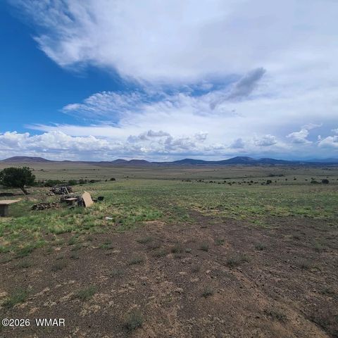Tiny photo for 3 County Road N3365, Vernon, AZ 85940 (MLS # 259641)