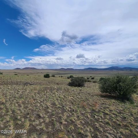 Tiny photo for 3 County Road N3365, Vernon, AZ 85940 (MLS # 259641)