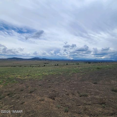 Tiny photo for 3 County Road N3365, Vernon, AZ 85940 (MLS # 259641)