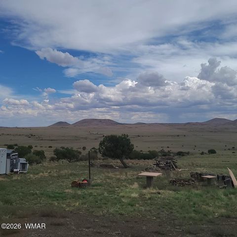 Tiny photo for 3 County Road N3365, Vernon, AZ 85940 (MLS # 259641)
