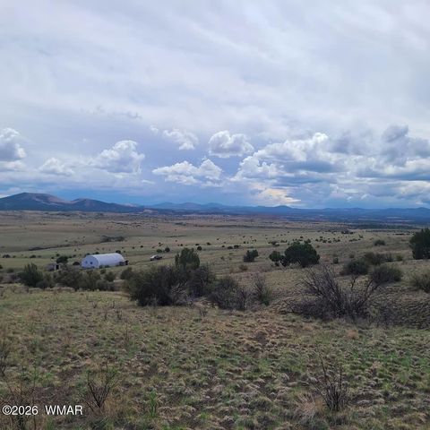 Tiny photo for 3 County Road N3365, Vernon, AZ 85940 (MLS # 259641)