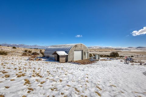 Tiny photo for 3 County Road N3365, Vernon, AZ 85940 (MLS # 259641)