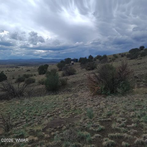 Tiny photo for 3 County Road N3365, Vernon, AZ 85940 (MLS # 259641)
