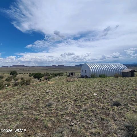 Tiny photo for 3 County Road N3365, Vernon, AZ 85940 (MLS # 259641)