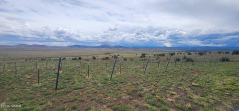 Tiny photo for 3 County Road N3365, Vernon, AZ 85940 (MLS # 259641)