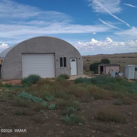Tiny photo for 3 County Road N3365, Vernon, AZ 85940 (MLS # 259641)
