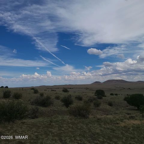 Tiny photo for 3 County Road N3365, Vernon, AZ 85940 (MLS # 259641)