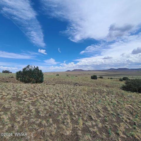 Tiny photo for 3 County Road N3365, Vernon, AZ 85940 (MLS # 259641)