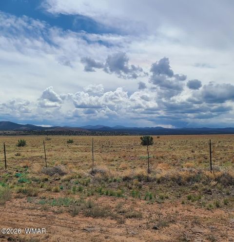 Tiny photo for 3 County Road N3365, Vernon, AZ 85940 (MLS # 259641)