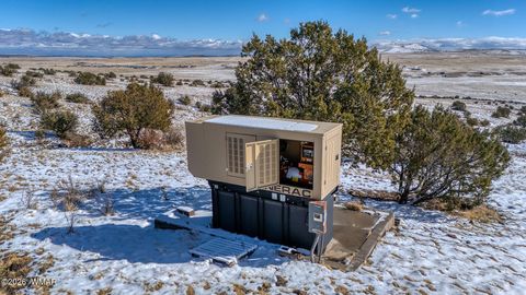 Tiny photo for 3 County Road N3365, Vernon, AZ 85940 (MLS # 259641)