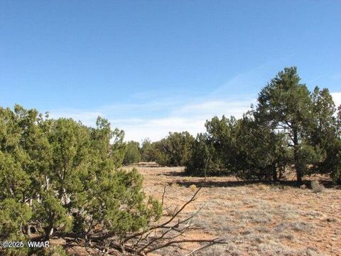 Photo of Lor 21 Chevelon Retreat #1, Heber, AZ 85928 (MLS # 258998)