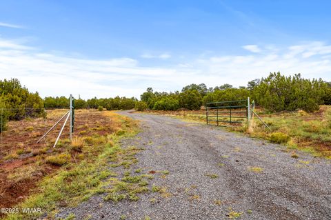 Tiny photo for TBD N3074, Vernon, AZ 85940 (MLS # 258370)