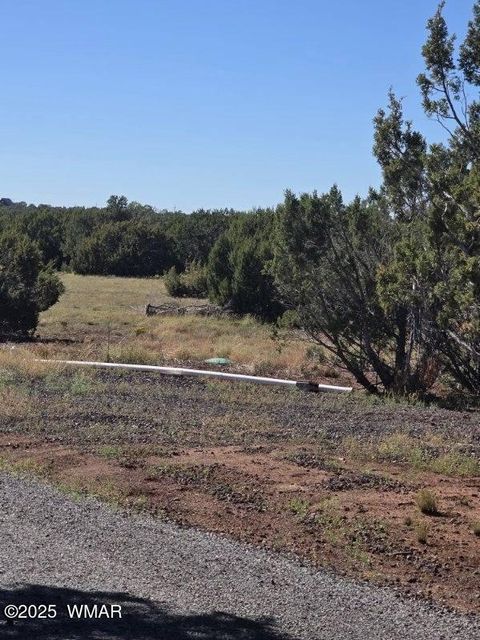 Tiny photo for TBD N3074, Vernon, AZ 85940 (MLS # 258370)