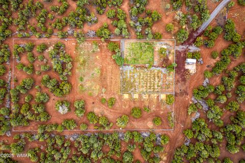 Tiny photo for TBD N3074, Vernon, AZ 85940 (MLS # 258370)