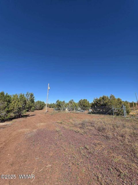 Tiny photo for TBD N3074, Vernon, AZ 85940 (MLS # 258370)