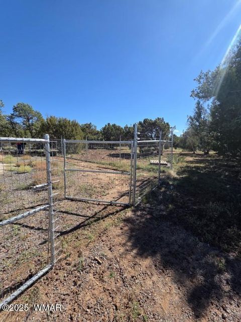 Tiny photo for TBD N3074, Vernon, AZ 85940 (MLS # 258370)