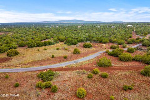 Tiny photo for TBD N3074, Vernon, AZ 85940 (MLS # 258370)