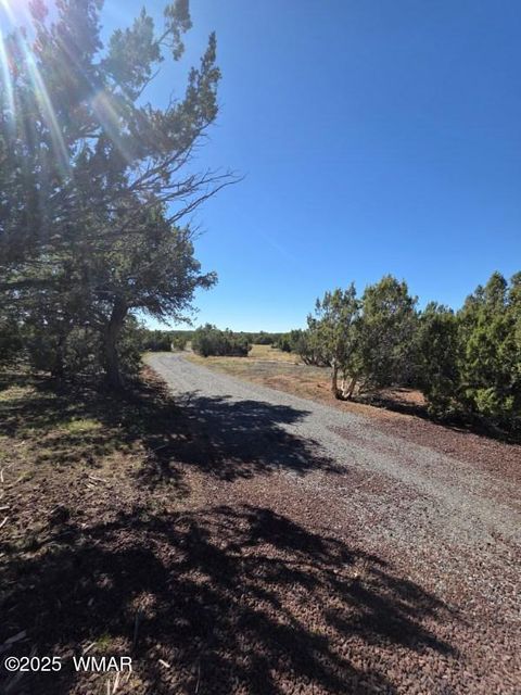 Tiny photo for TBD N3074, Vernon, AZ 85940 (MLS # 258370)
