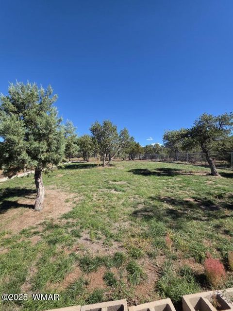 Tiny photo for TBD N3074, Vernon, AZ 85940 (MLS # 258370)