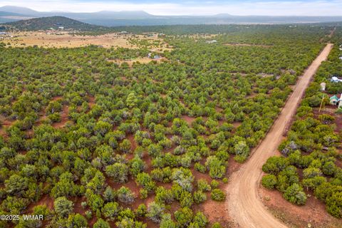 Tiny photo for TBD N3074, Vernon, AZ 85940 (MLS # 258370)