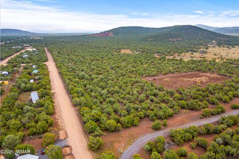 Tiny photo for TBD N3074, Vernon, AZ 85940 (MLS # 258370)