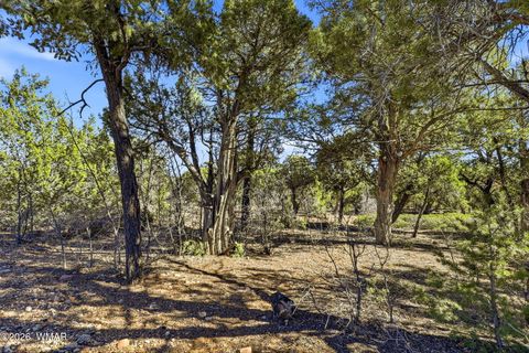 Tiny photo for 1821 S Ridge Crest Drive, Show Low, AZ 85901 (MLS # 259231)