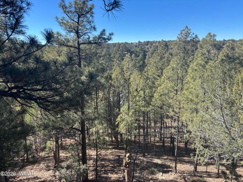 Tiny photo for 4161 W Thornton Road, Show Low, AZ 85901 (MLS # 259279)
