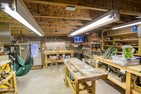 Tiny photo for 4161 W Thornton Road, Show Low, AZ 85901 (MLS # 259279)