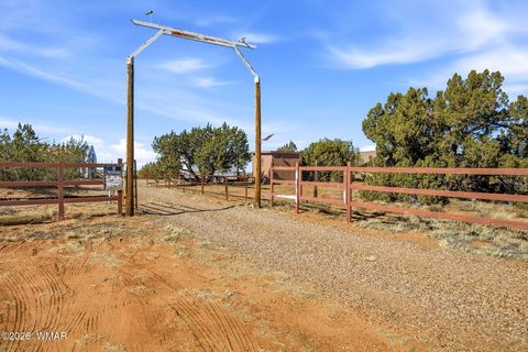 Tiny photo for 5460 Hay Hollow Road, Snowflake, AZ 85937 (MLS # 259293)