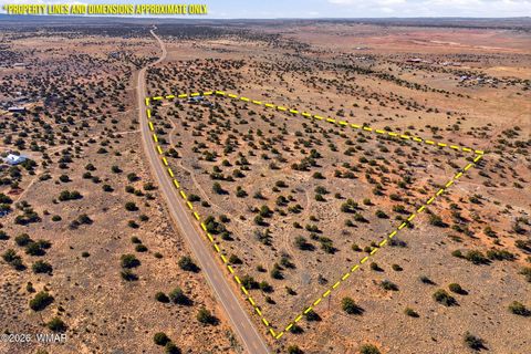 Tiny photo for 5460 Hay Hollow Road, Snowflake, AZ 85937 (MLS # 259293)