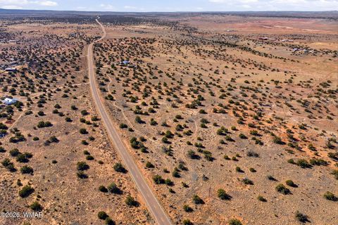 Tiny photo for 5460 Hay Hollow Road, Snowflake, AZ 85937 (MLS # 259293)