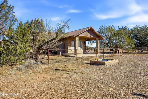 Tiny photo for 5460 Hay Hollow Road, Snowflake, AZ 85937 (MLS # 259293)