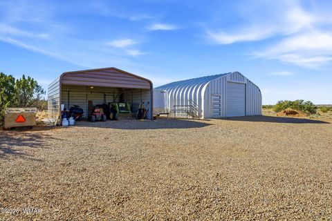 Tiny photo for 5460 Hay Hollow Road, Snowflake, AZ 85937 (MLS # 259293)