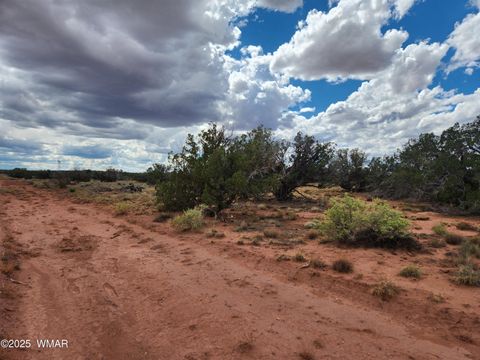 Tiny photo for 5386 County Road N5386, Saint Johns, AZ 85936 (MLS # 258045)