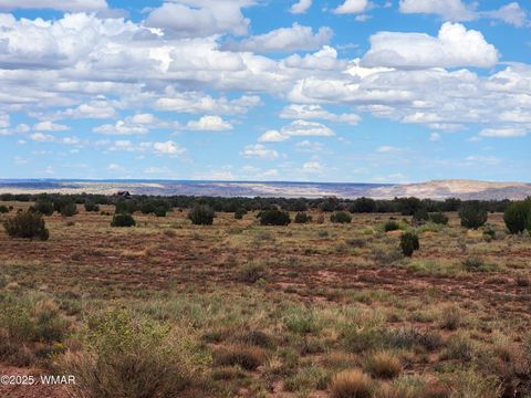 Tiny photo for 5386 County Road N5386, Saint Johns, AZ 85936 (MLS # 258045)