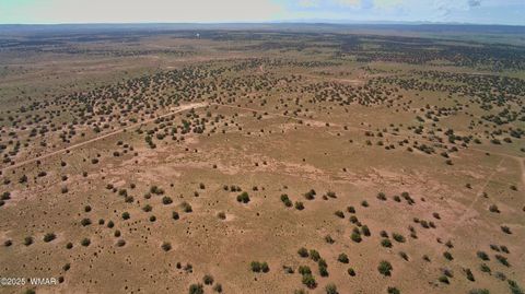 Tiny photo for 5386 County Road N5386, Saint Johns, AZ 85936 (MLS # 258045)