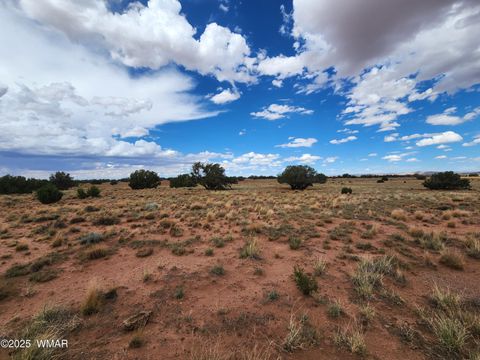 Tiny photo for 5386 County Road N5386, Saint Johns, AZ 85936 (MLS # 258045)