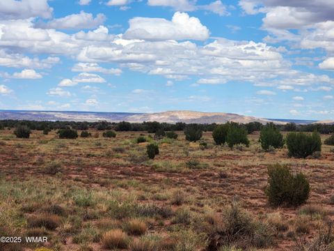 Tiny photo for 5386 County Road N5386, Saint Johns, AZ 85936 (MLS # 258045)