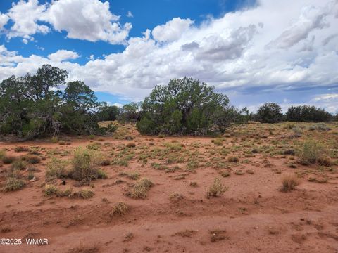 Tiny photo for 5386 County Road N5386, Saint Johns, AZ 85936 (MLS # 258045)