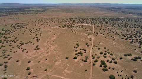 Tiny photo for 5386 County Road N5386, Saint Johns, AZ 85936 (MLS # 258045)