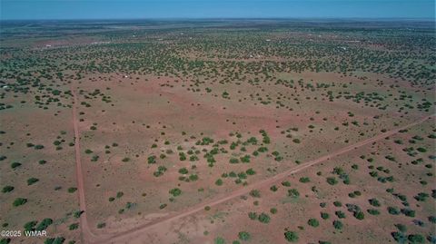 Tiny photo for 5386 County Road N5386, Saint Johns, AZ 85936 (MLS # 258045)