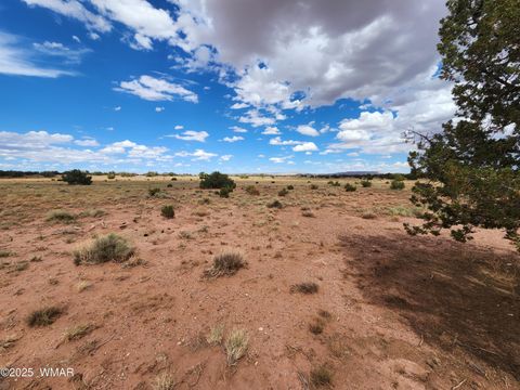 Tiny photo for 5386 County Road N5386, Saint Johns, AZ 85936 (MLS # 258045)