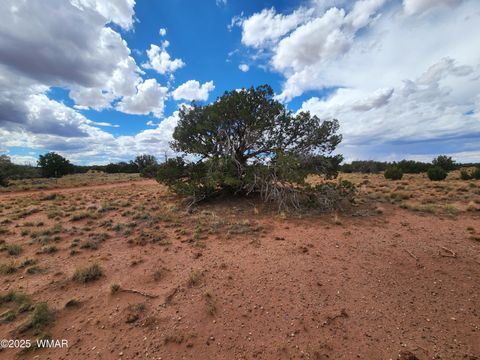 Tiny photo for 5386 County Road N5386, Saint Johns, AZ 85936 (MLS # 258045)