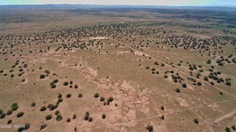 Tiny photo for 5386 County Road N5386, Saint Johns, AZ 85936 (MLS # 258045)