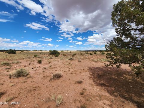 Tiny photo for 5386 County Road N5386, Saint Johns, AZ 85936 (MLS # 258045)