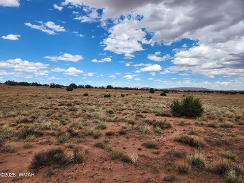 Tiny photo for 5386 County Road N5386, Saint Johns, AZ 85936 (MLS # 258045)