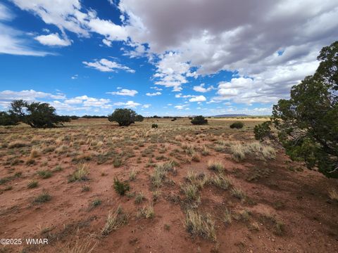 Tiny photo for 5386 County Road N5386, Saint Johns, AZ 85936 (MLS # 258045)