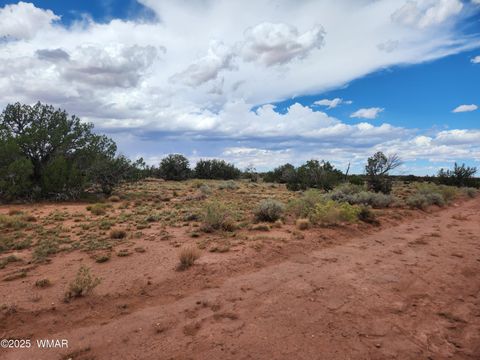 Tiny photo for 5386 County Road N5386, Saint Johns, AZ 85936 (MLS # 258045)